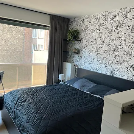 Estrella Del Mar 2 * Oostende