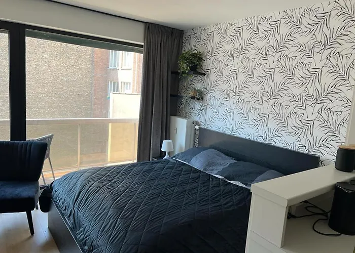 Estrella Del Mar 2 * Oostende